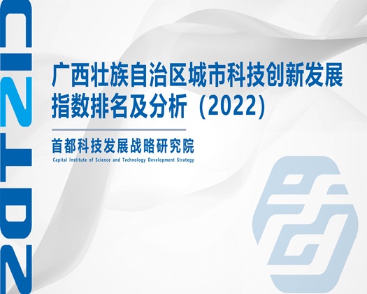 操老逼的视频有吗【成果发布】广西壮族自治区城市科技创新发展指数排名及分析（2022）